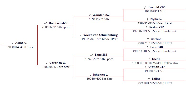 stamboekpapier Adina G.