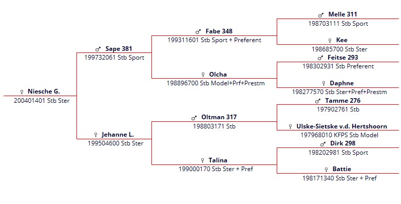 stamboekpapier Niesche G.